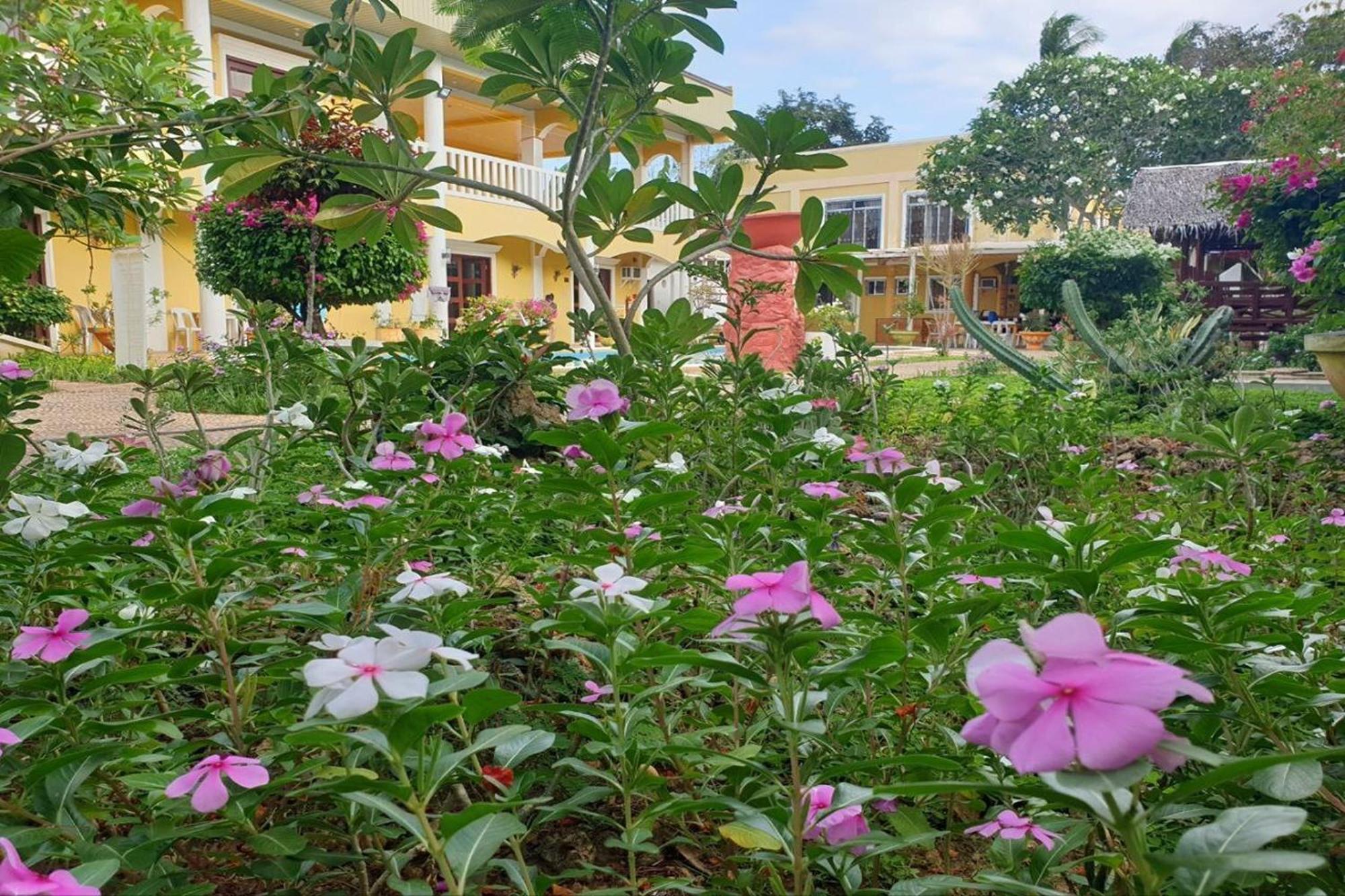 Hanbee'S Resort 公主港 外观 照片